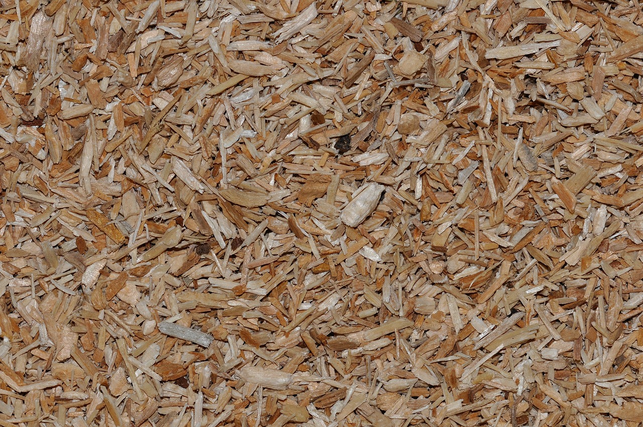 wood chips pieces of wood close free photo