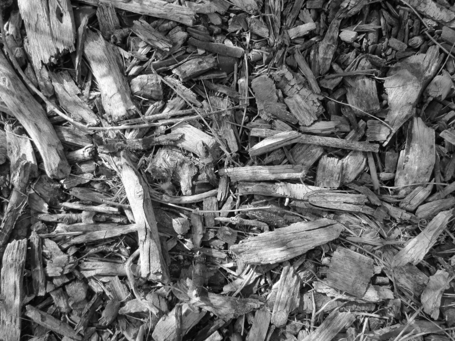 wood chips texture background free photo