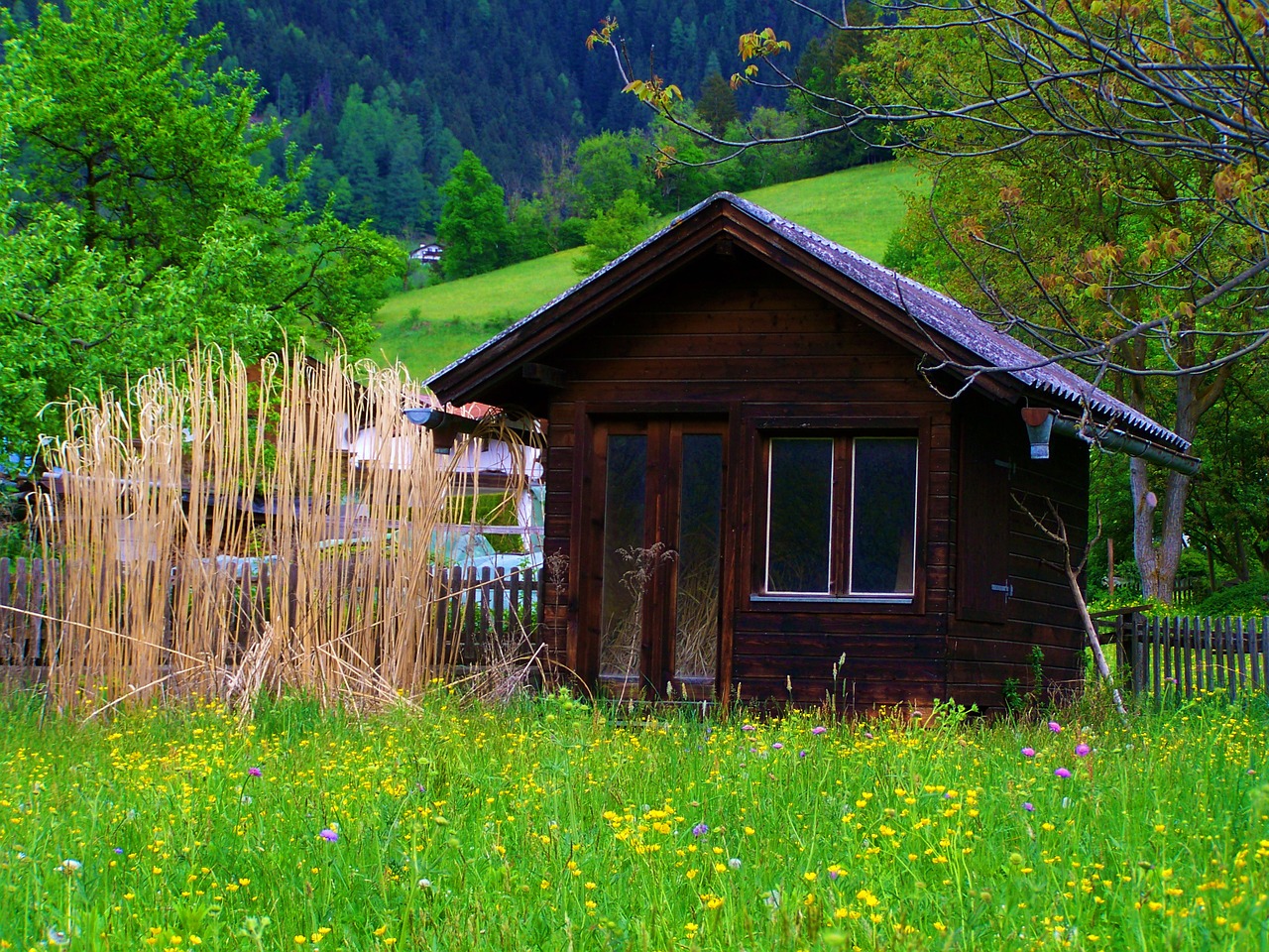 wood cottage dry reed green field free photo