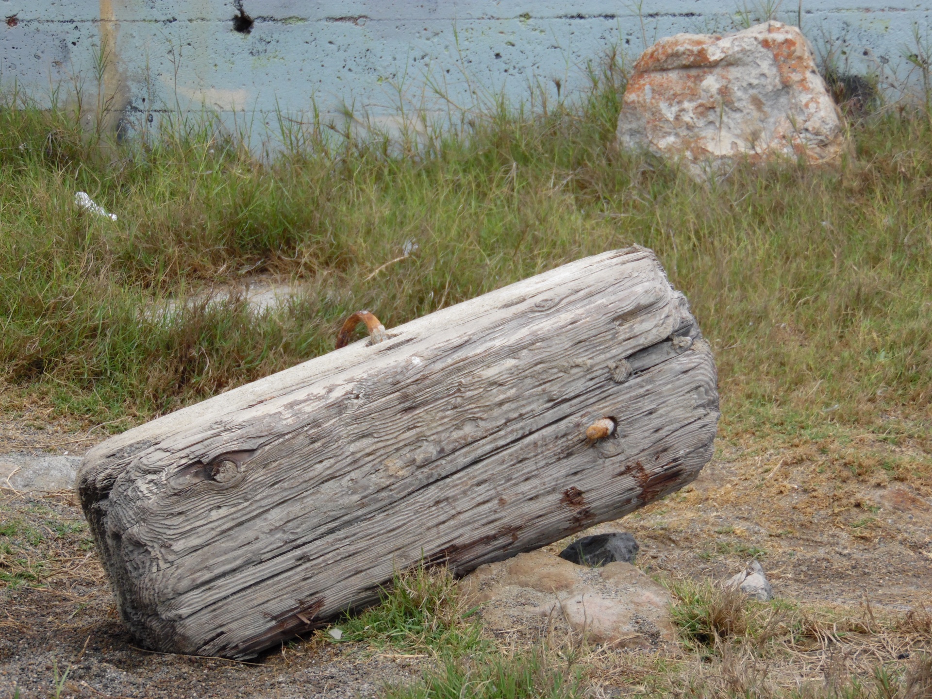 wood driftwood debris free photo