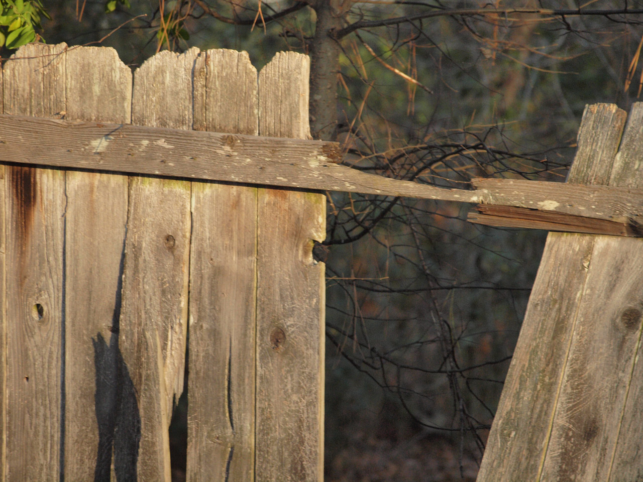 wood fence fall free photo