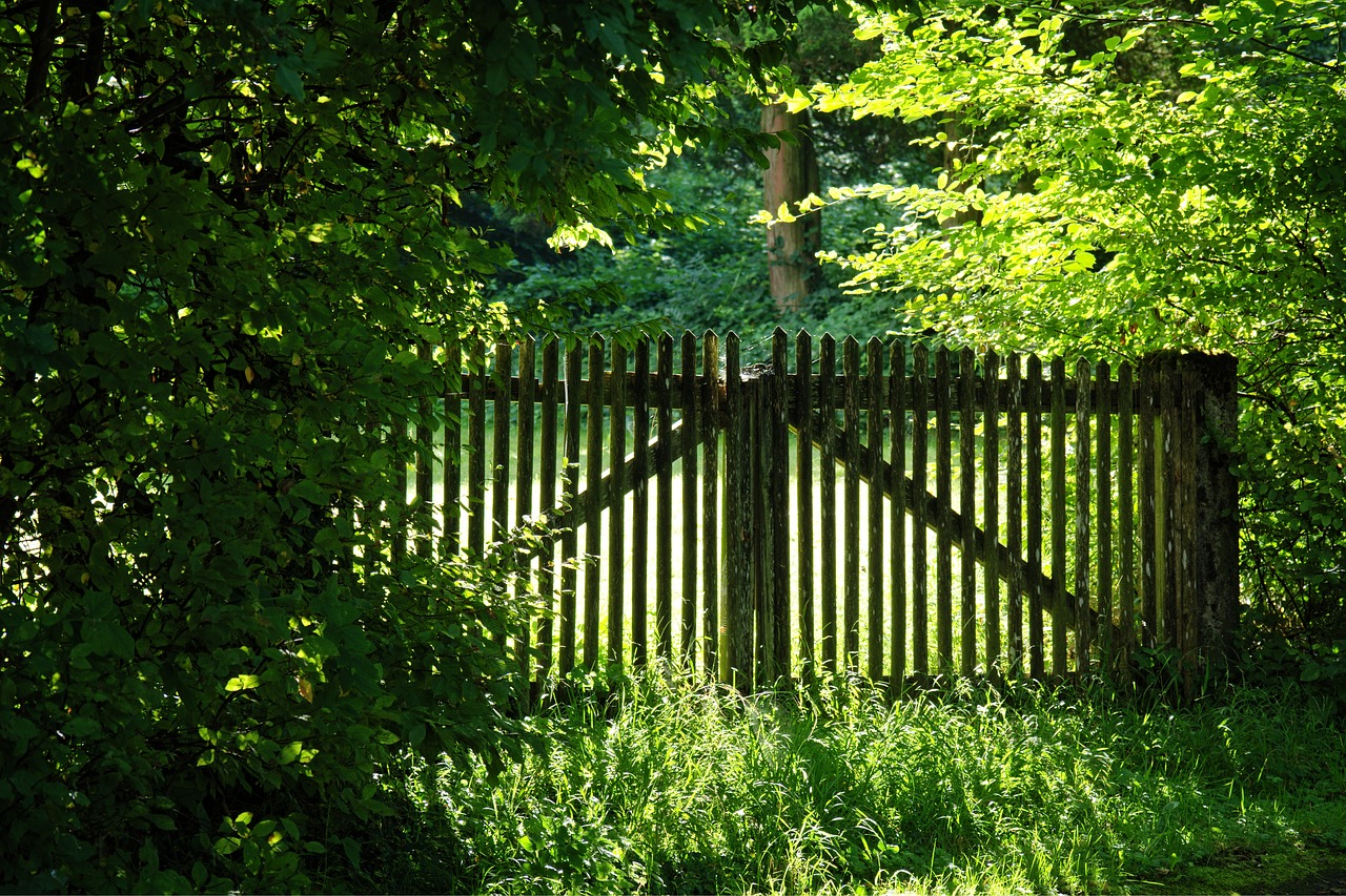wood fence fence nature free photo