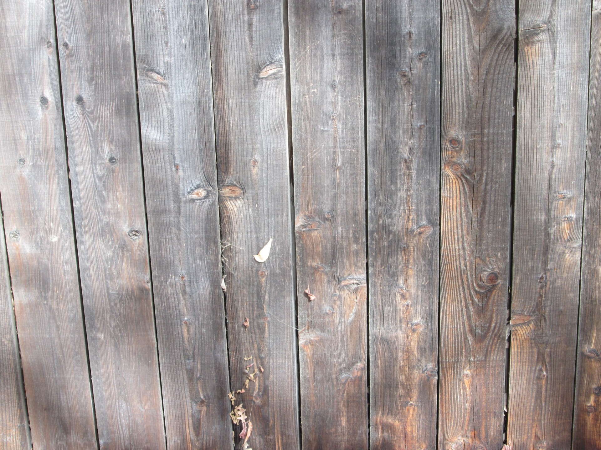 wood fence pattern free photo