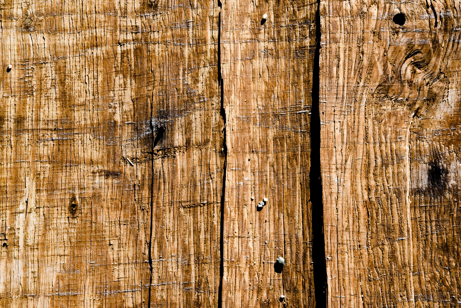 wood texture grain free photo