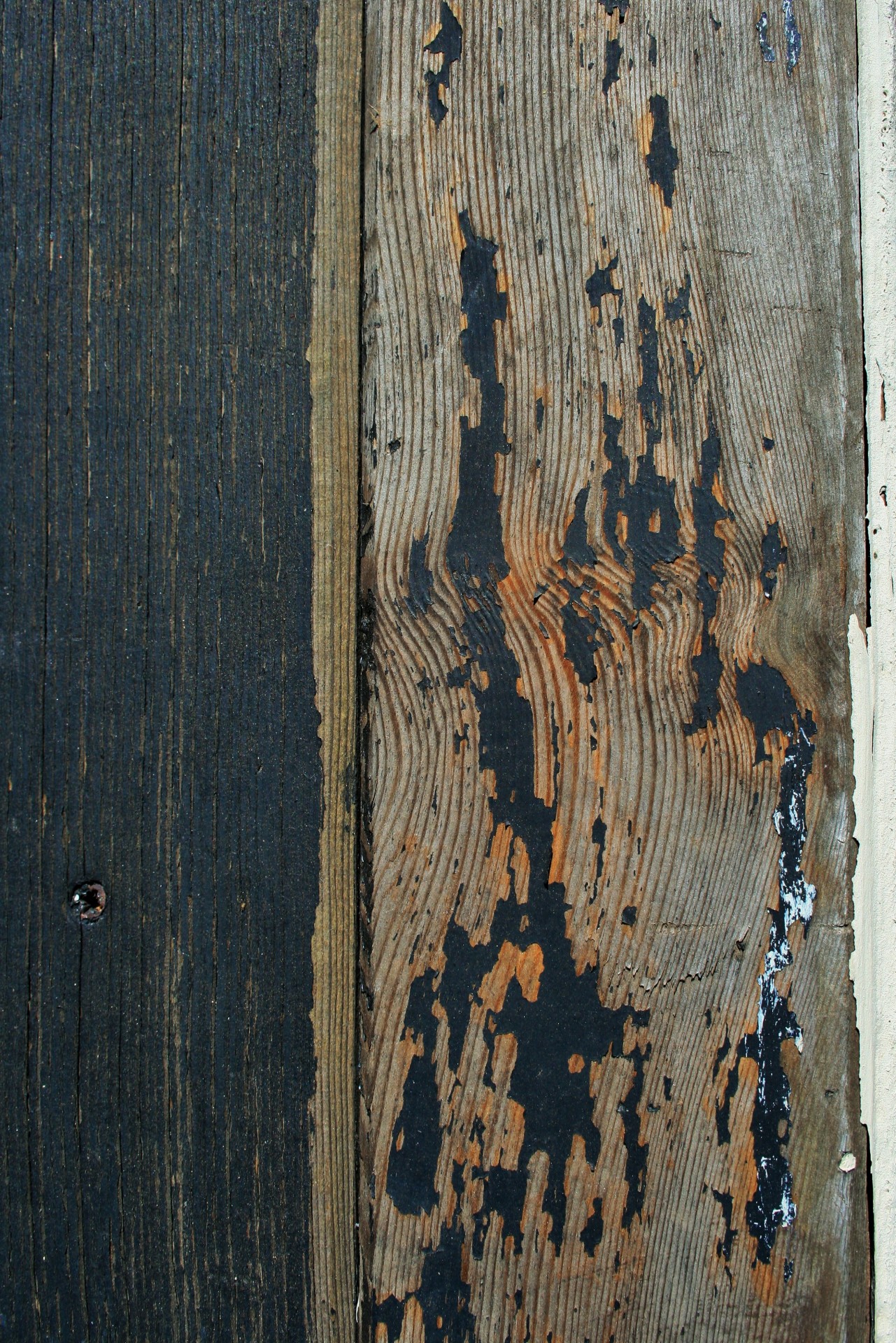 wood weathered grain free photo