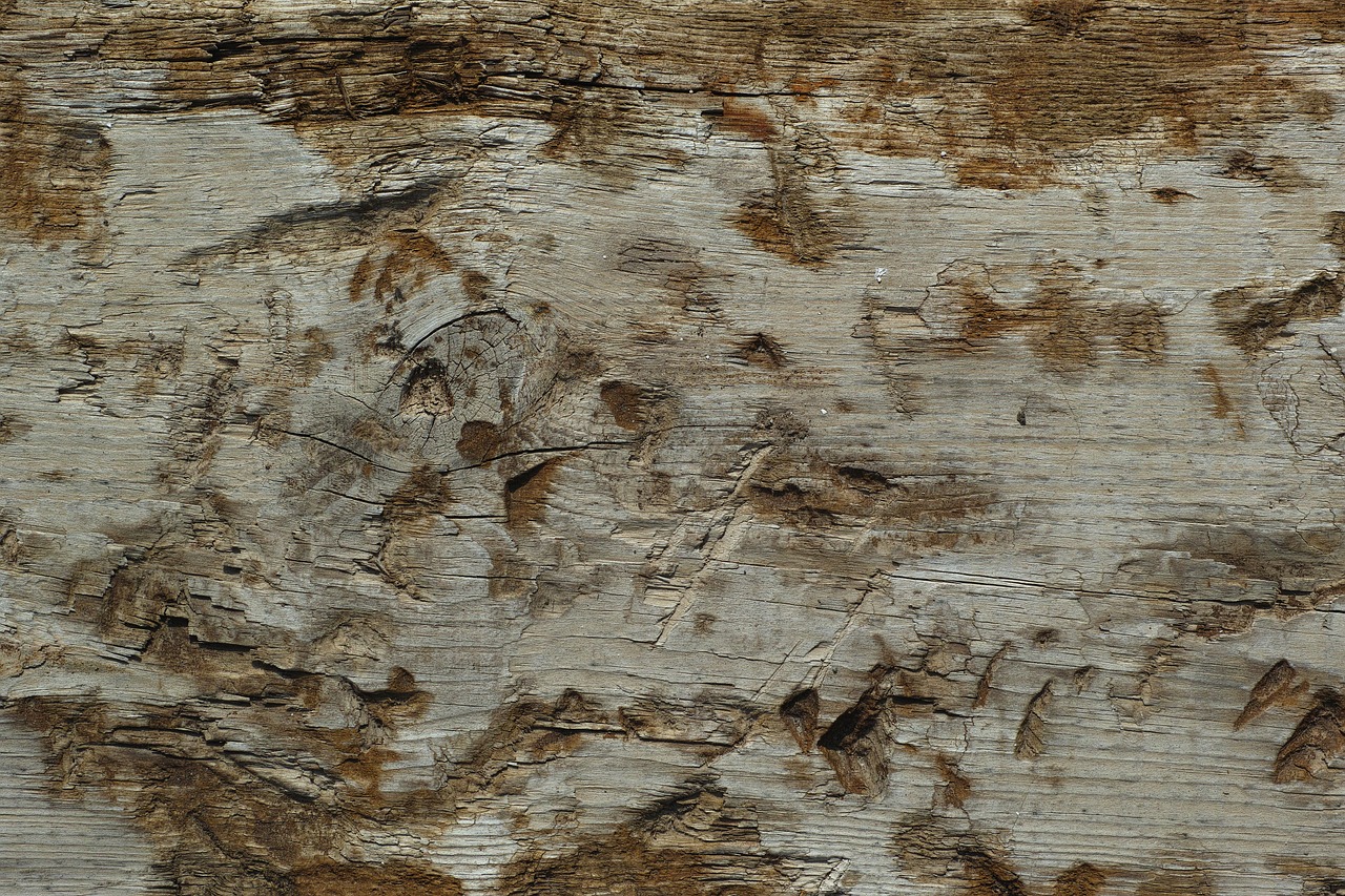 wood-fibre boards texture copy space free photo