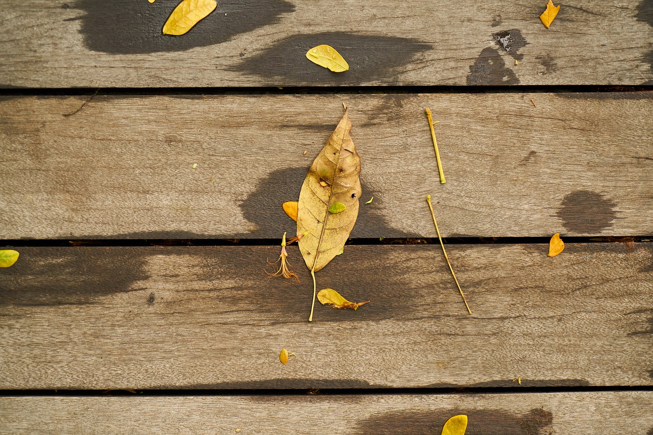 wood-fibre boards wood wallpaper free photo