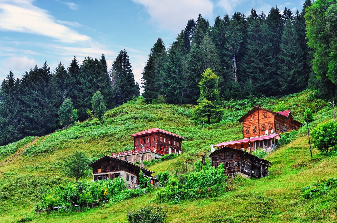 wood-fibre boards  mountain  home free photo