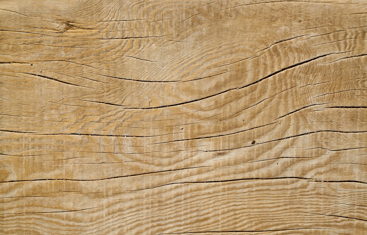 wood-fibre boards  timber  wood free photo