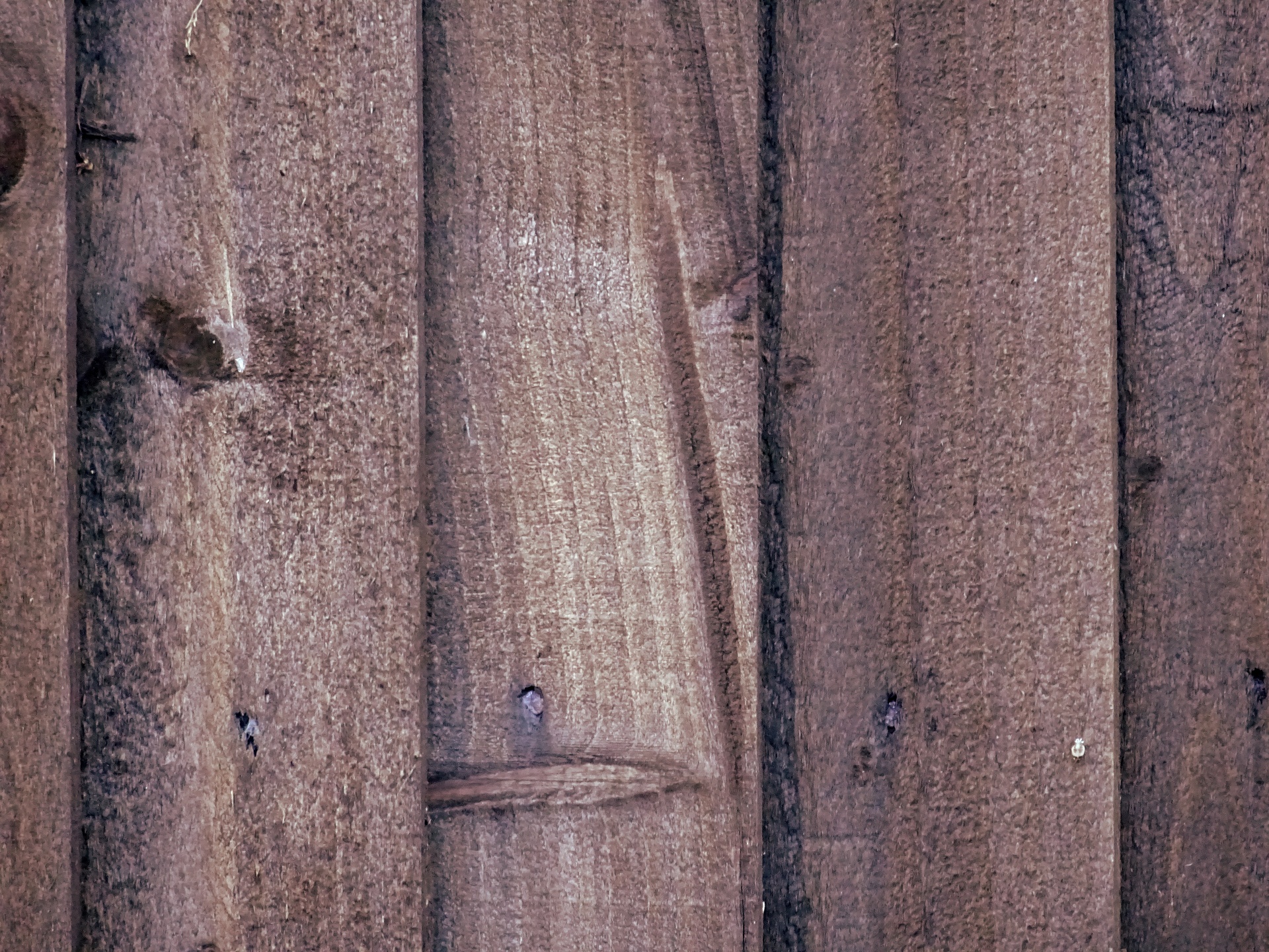 wood wooden fences free photo