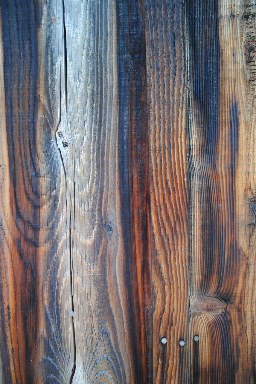 wood grain wood detail free photo