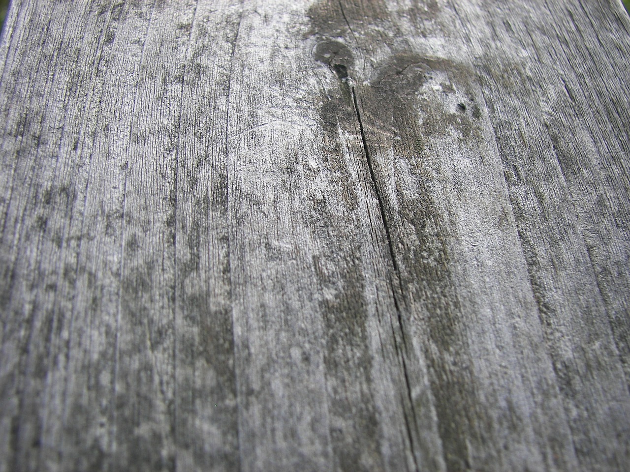 wood grain texture plank free photo