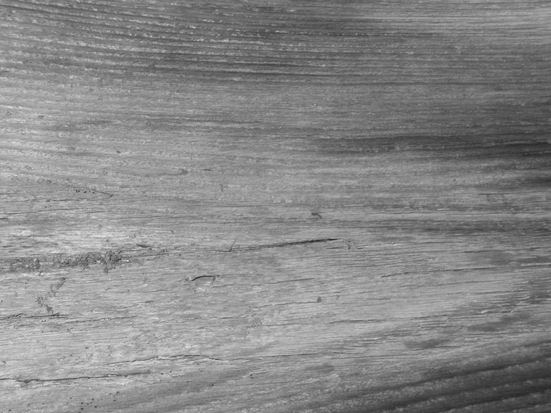 wood grain texture b&w free photo