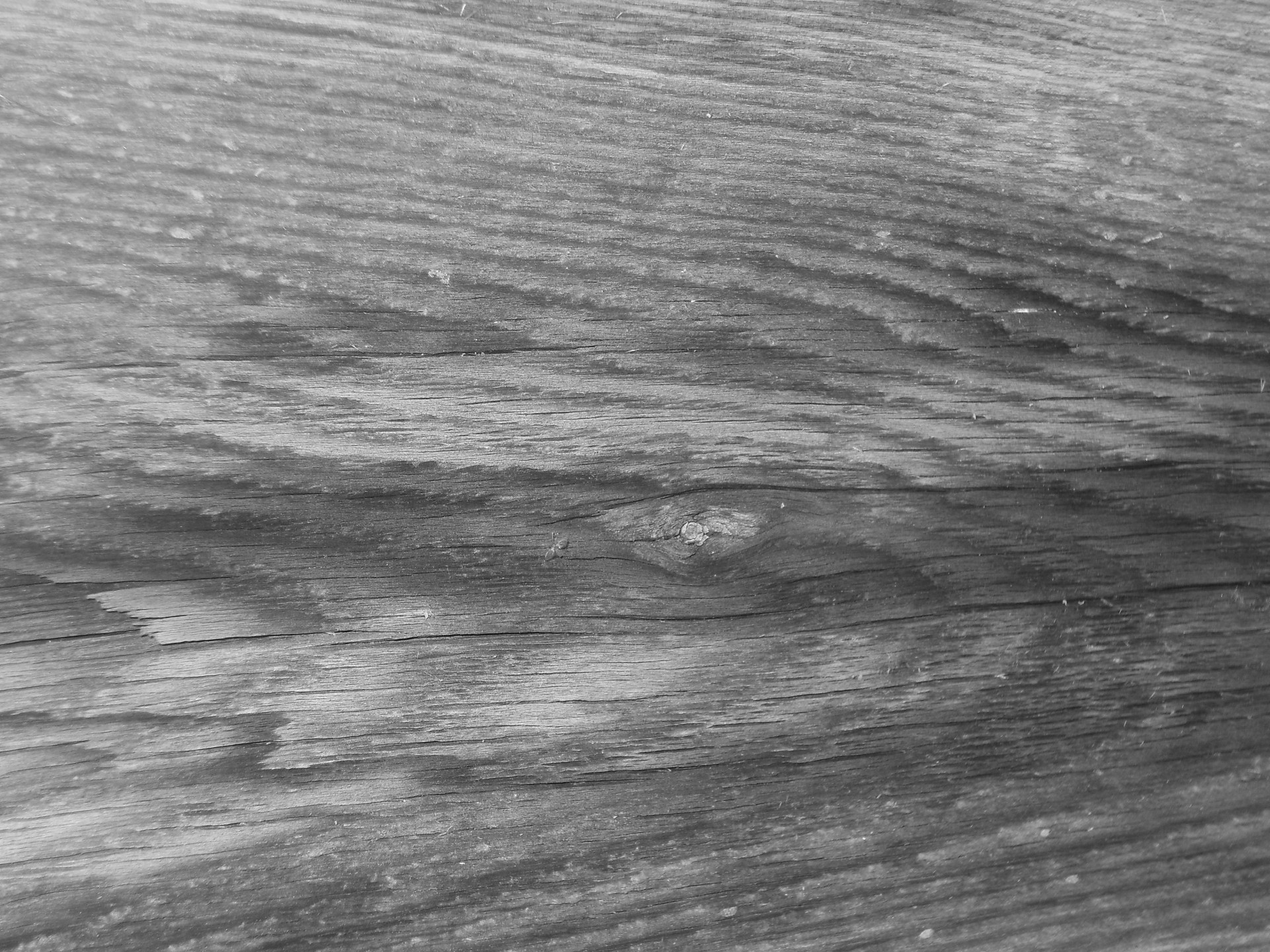 wood grain texture b&w free photo