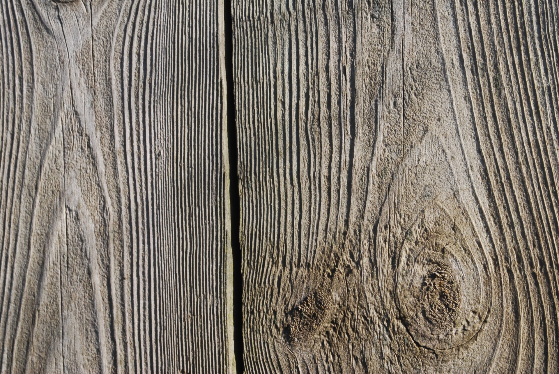 wood wood grain fence free photo