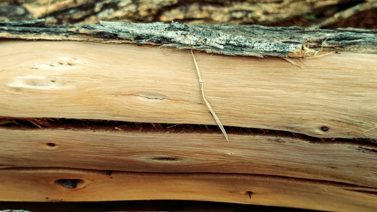 wood log bark timber free photo