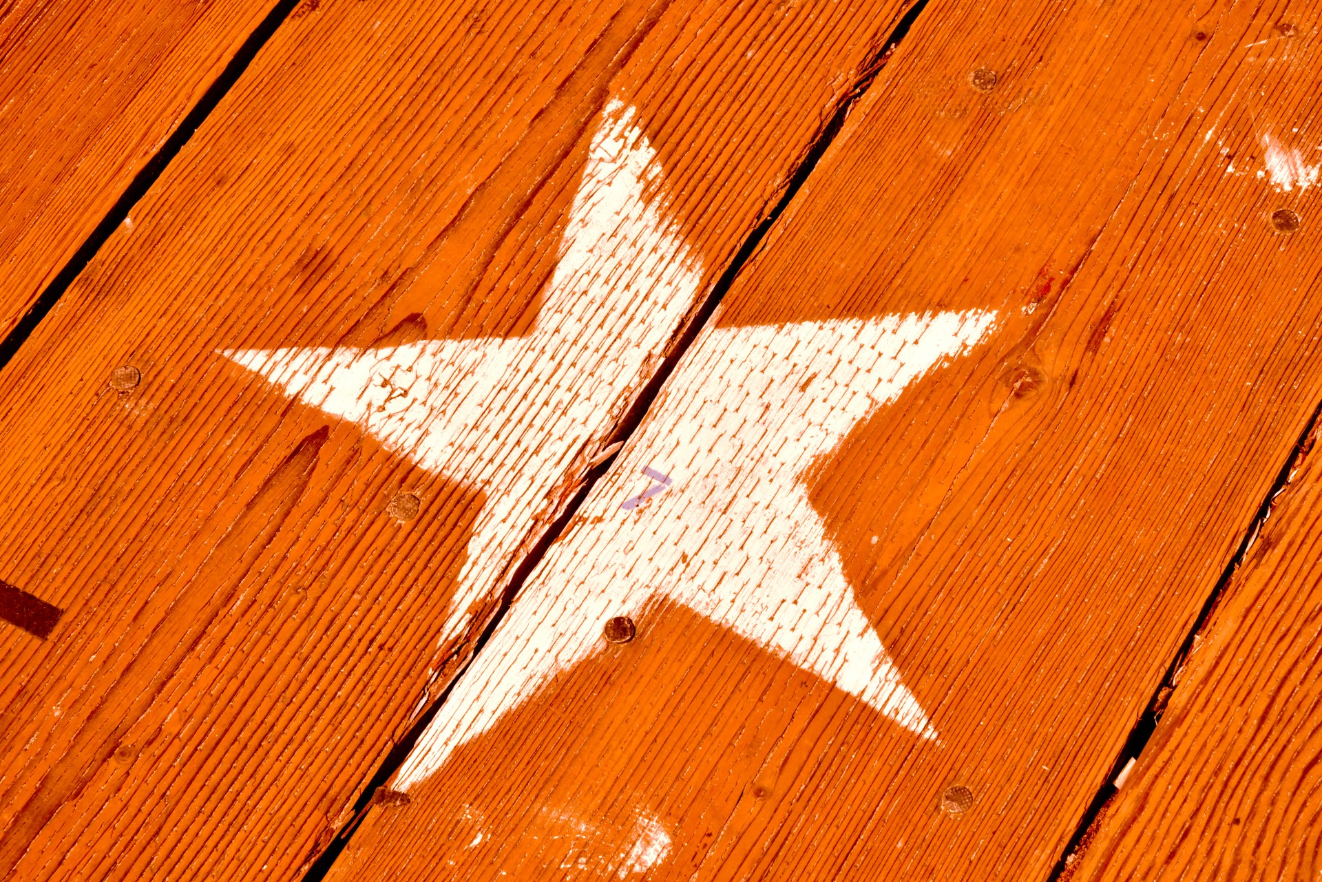 white orange star free photo