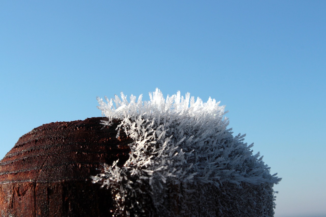 wood pile frost frozen fog free photo