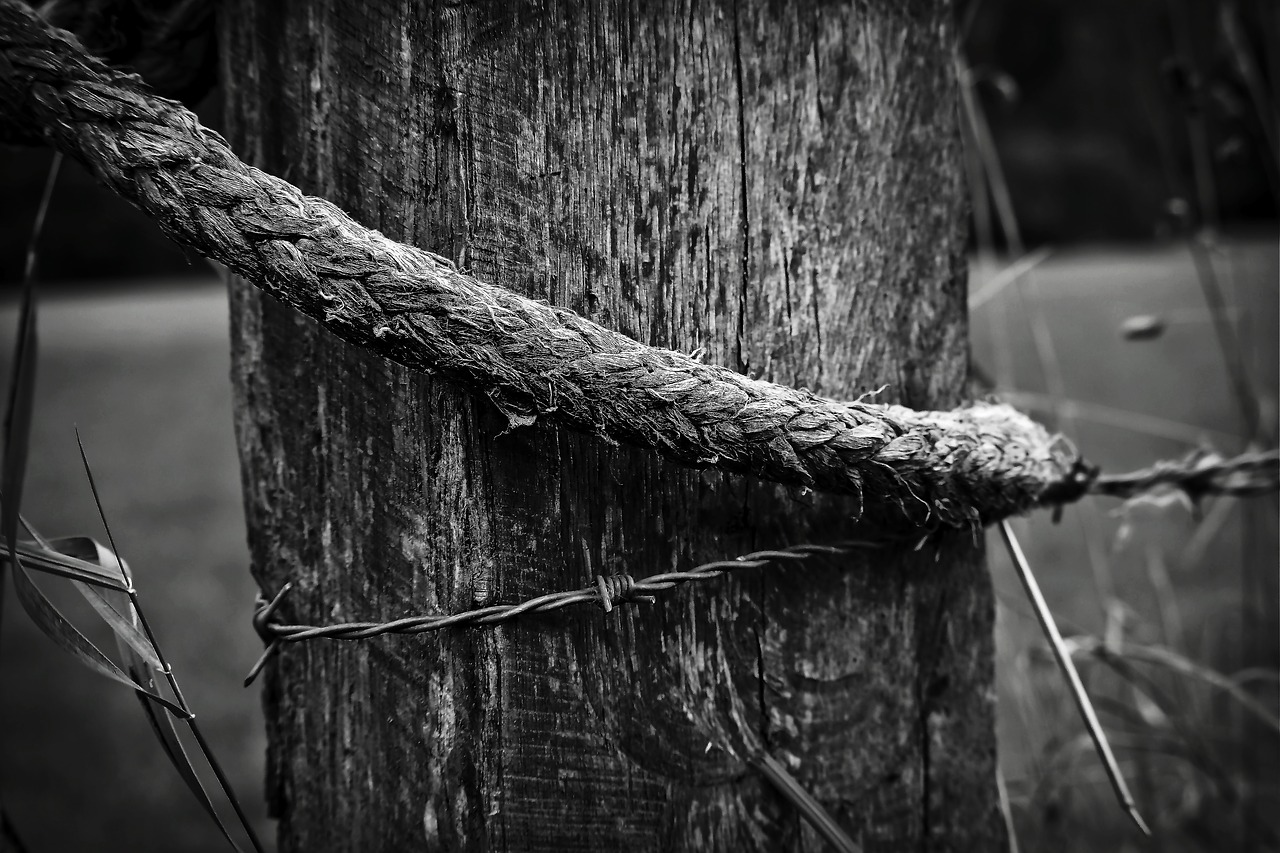 wood pile fence post free photo