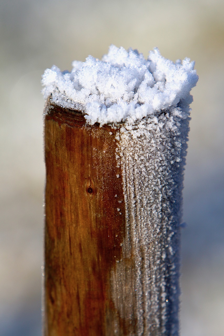 wood pile icing frost free photo