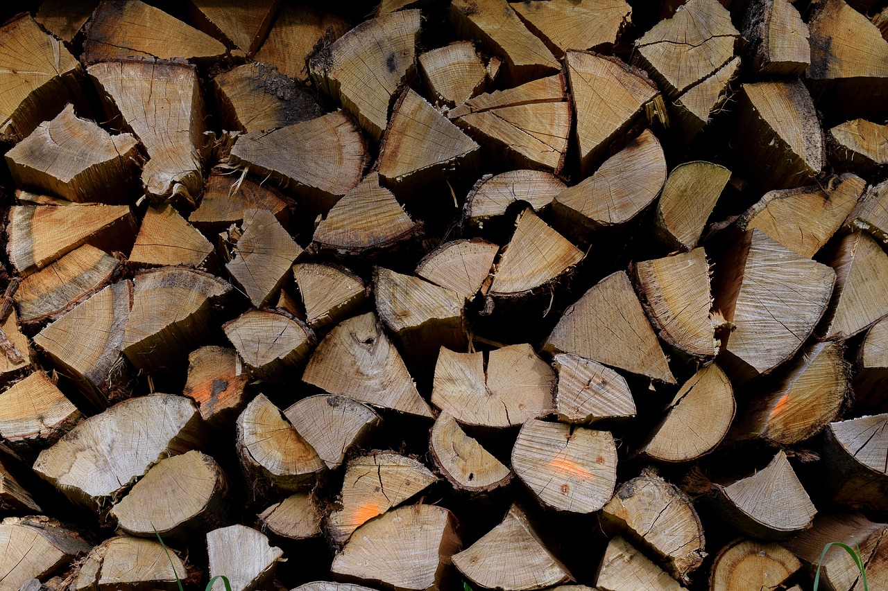 wood pile  firewood  wood for the fireplace free photo