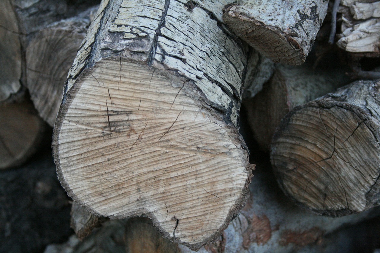 wood pile sawn wood free photo