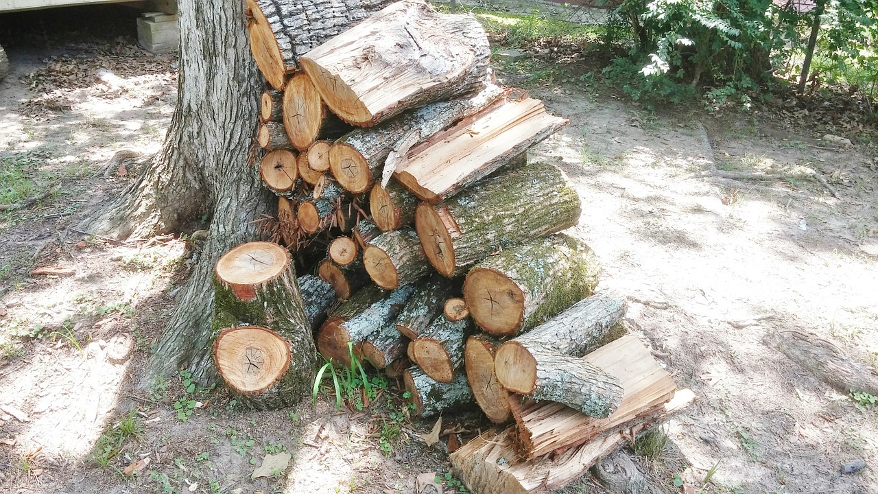 wood pile firewood wood free photo