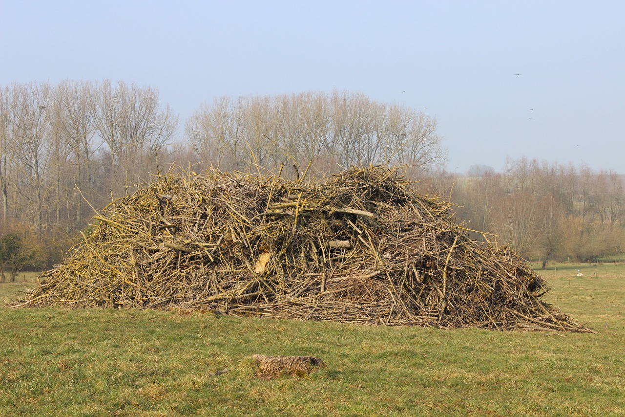 wood pile branches bonfire free photo