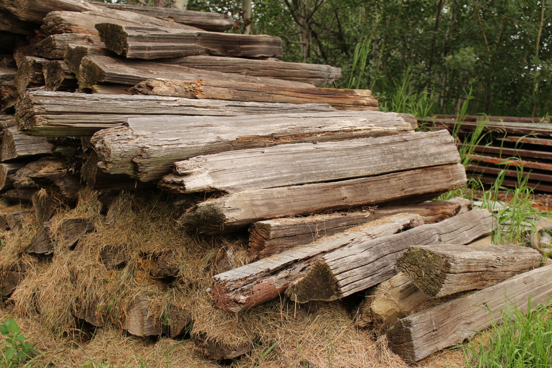 wood pile logs free photo