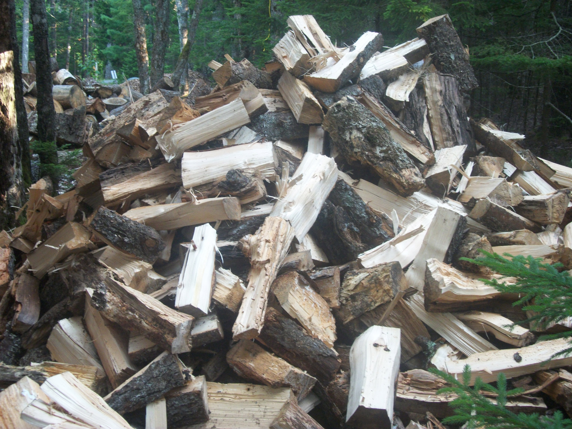 wood pile cut wood chopped wood free photo