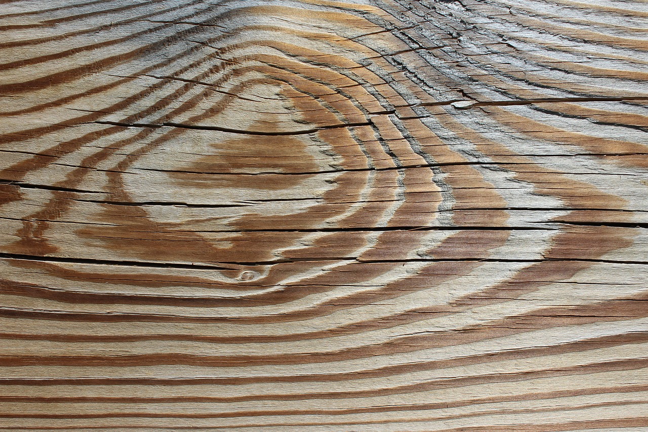 wood plank surface plank free photo