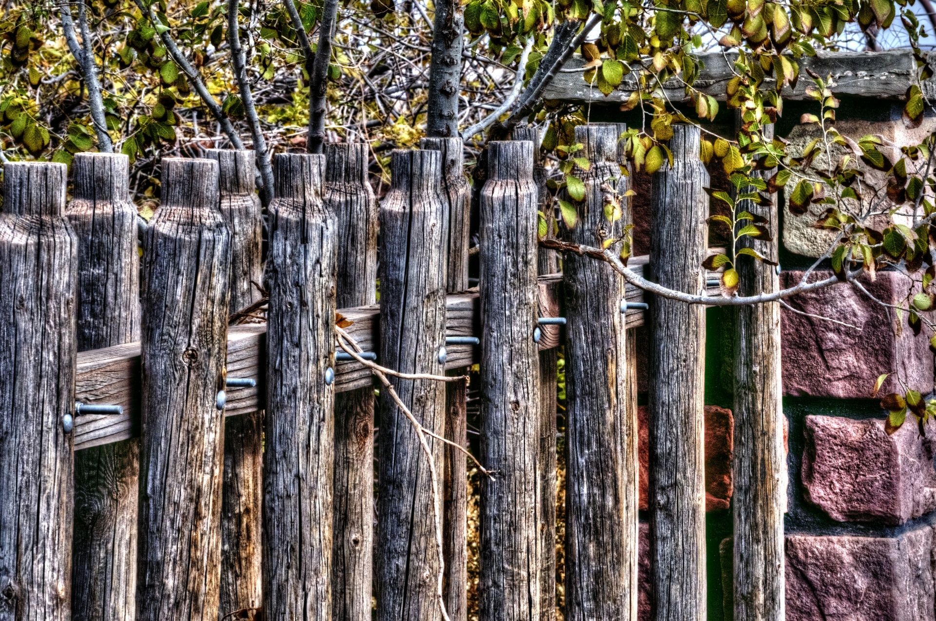 rustic fence fences free photo