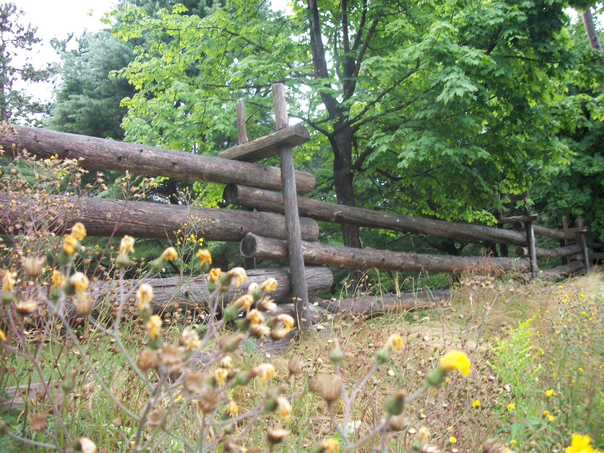 fence fences rail fence free photo