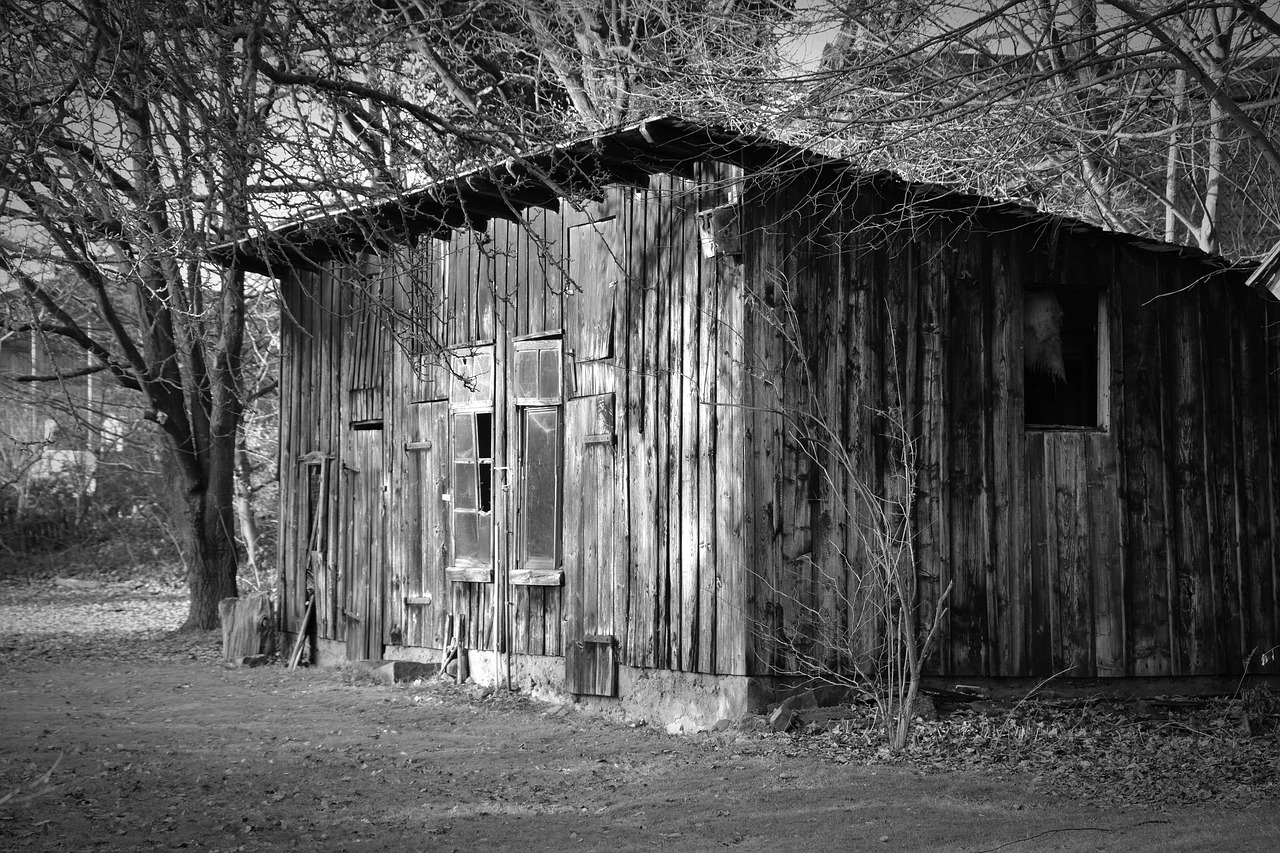 wood shed scale old free photo