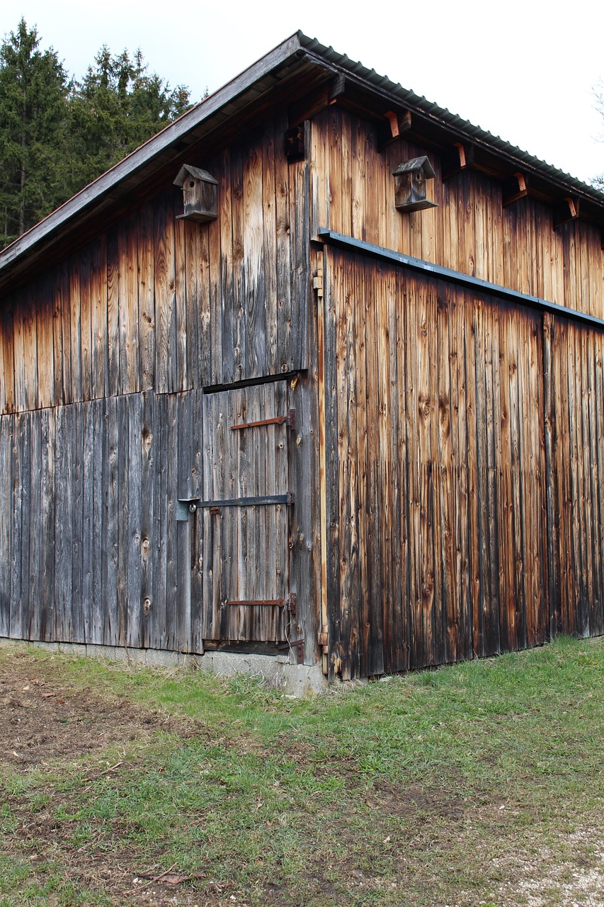 wood shed weathered old free photo