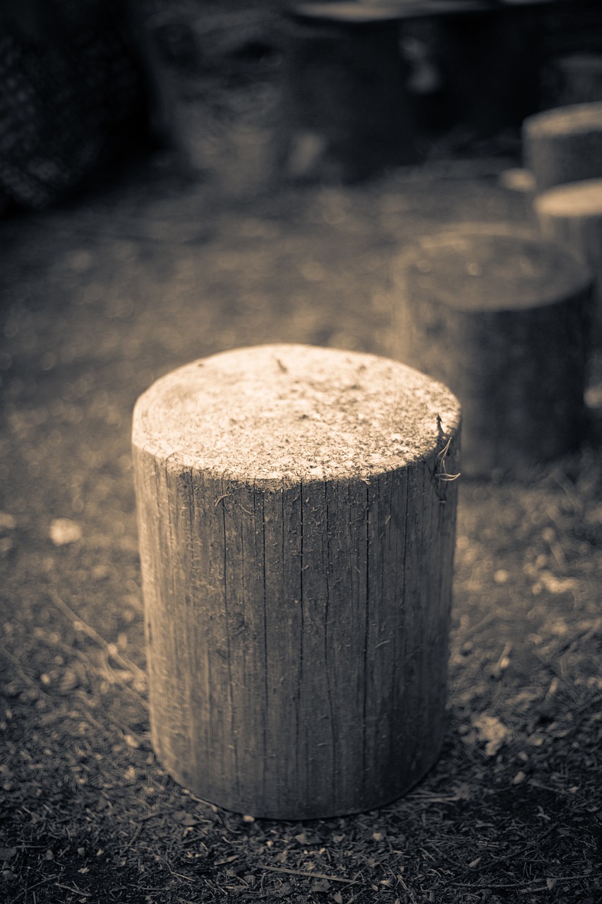 wood stump hack stock grayscale free photo