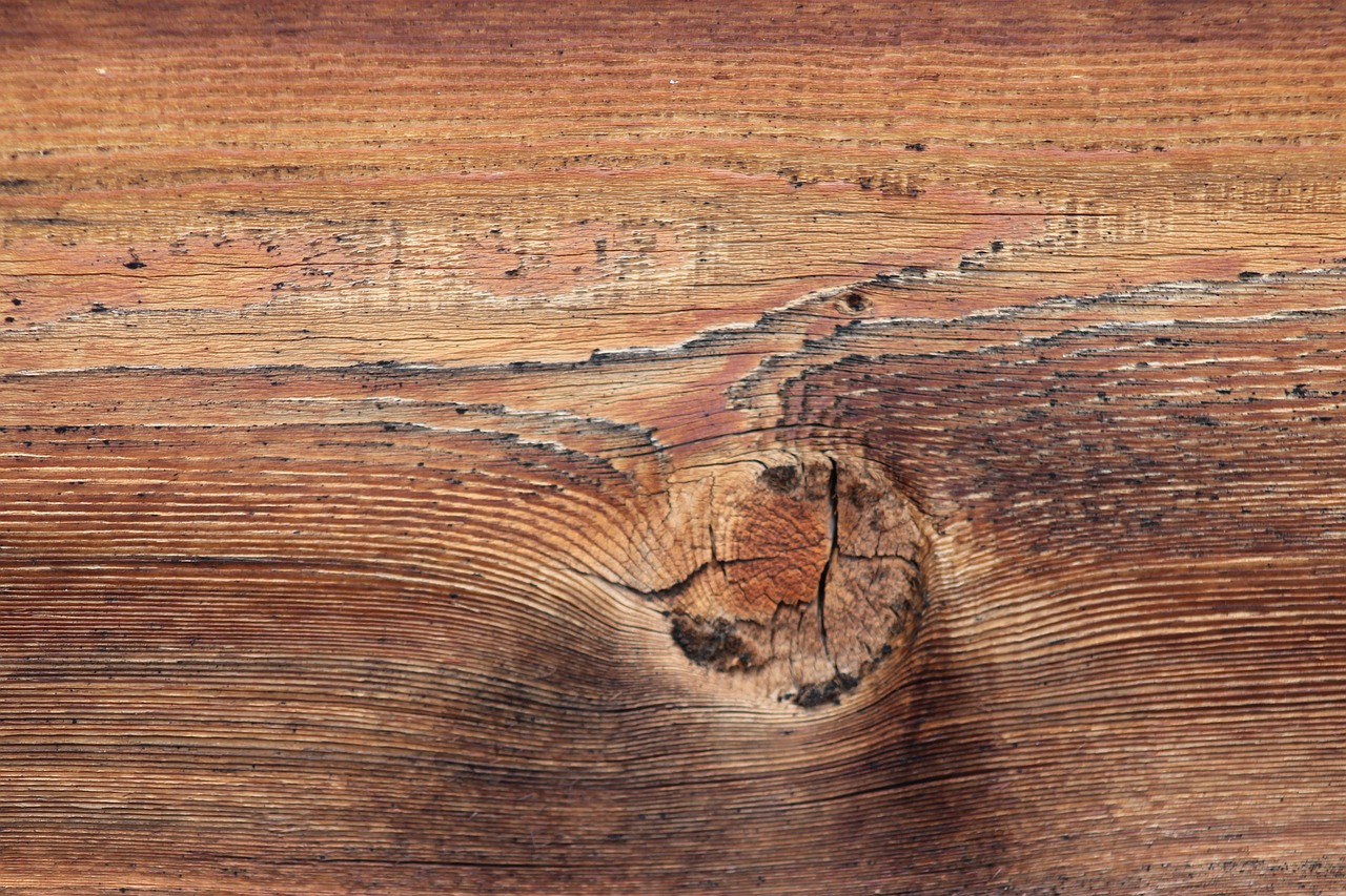 wood texture timber wood grain free photo