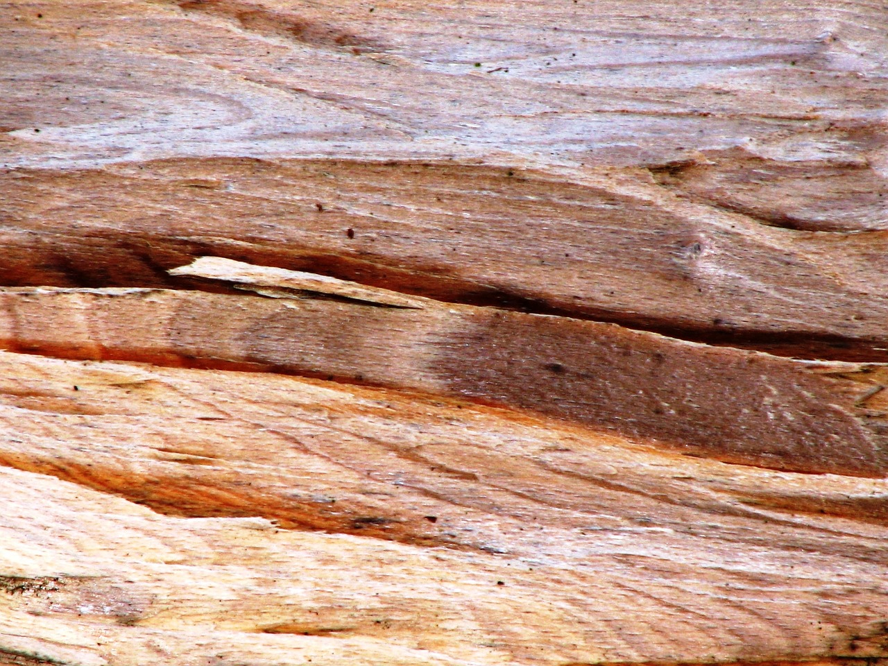 wood texture grain wood free photo