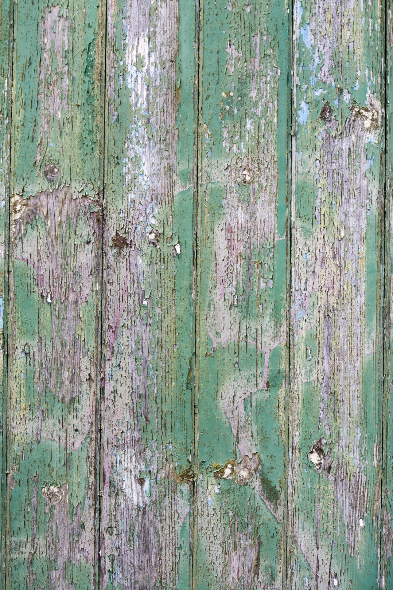 wood texture background free photo