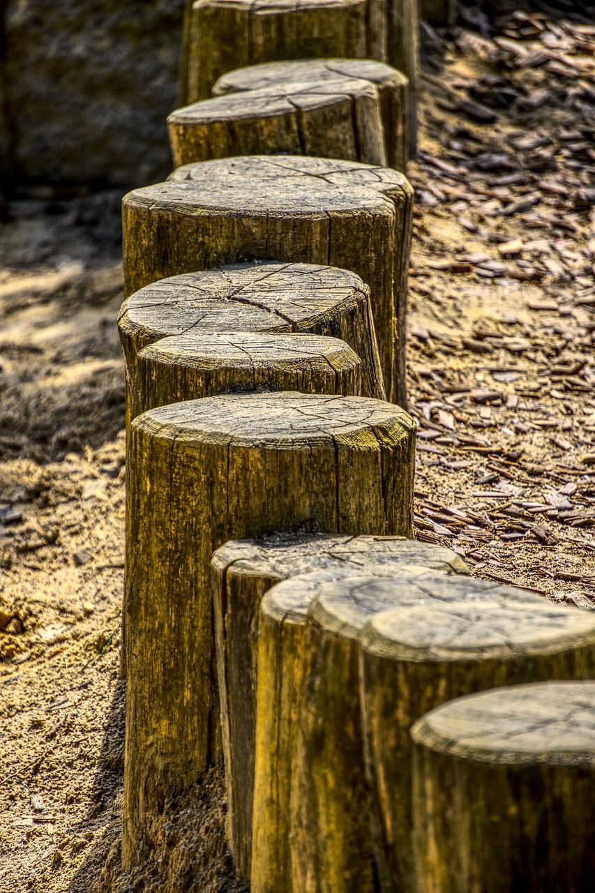 wood trunks  post  limit free photo