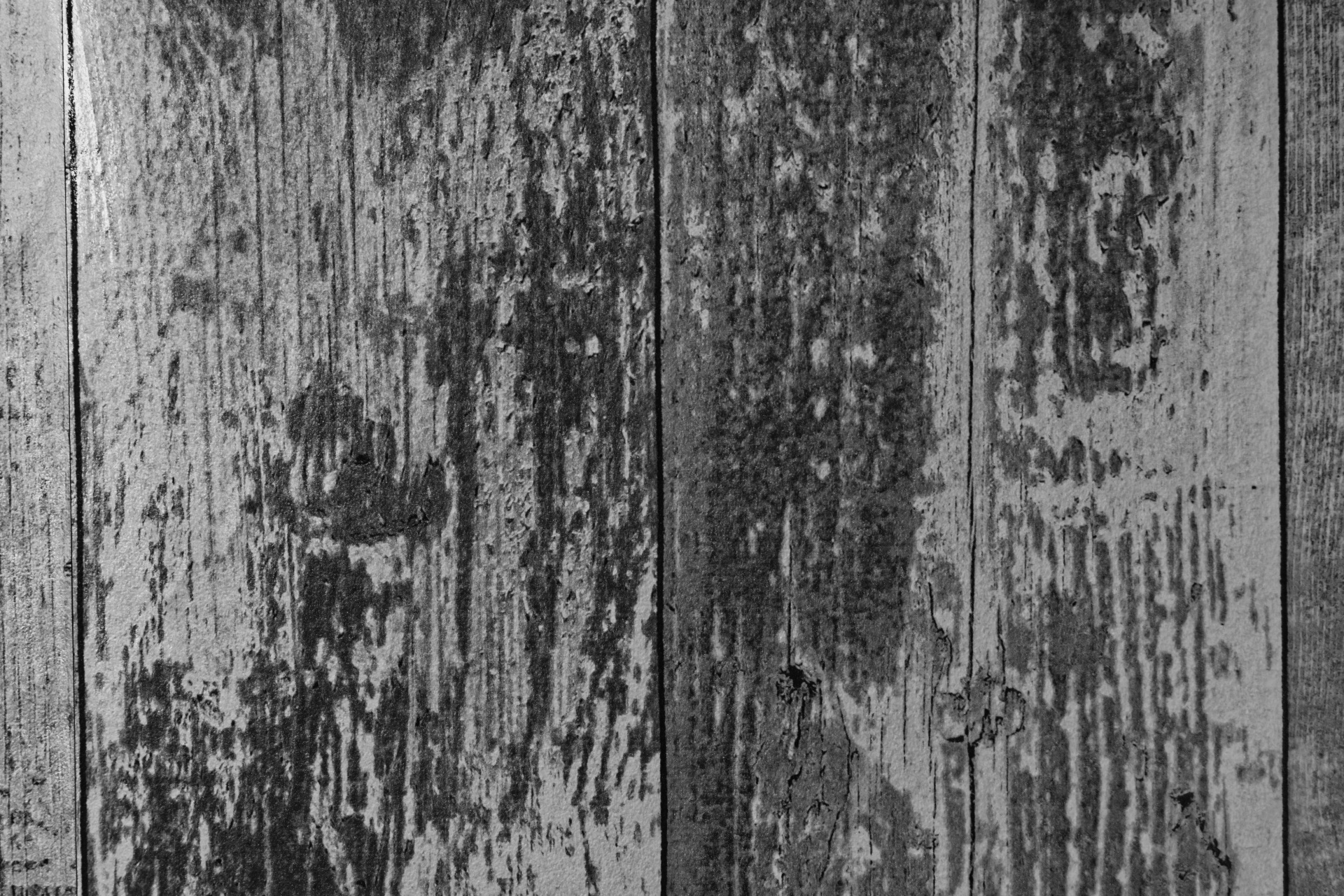 wood wallpaper background free photo