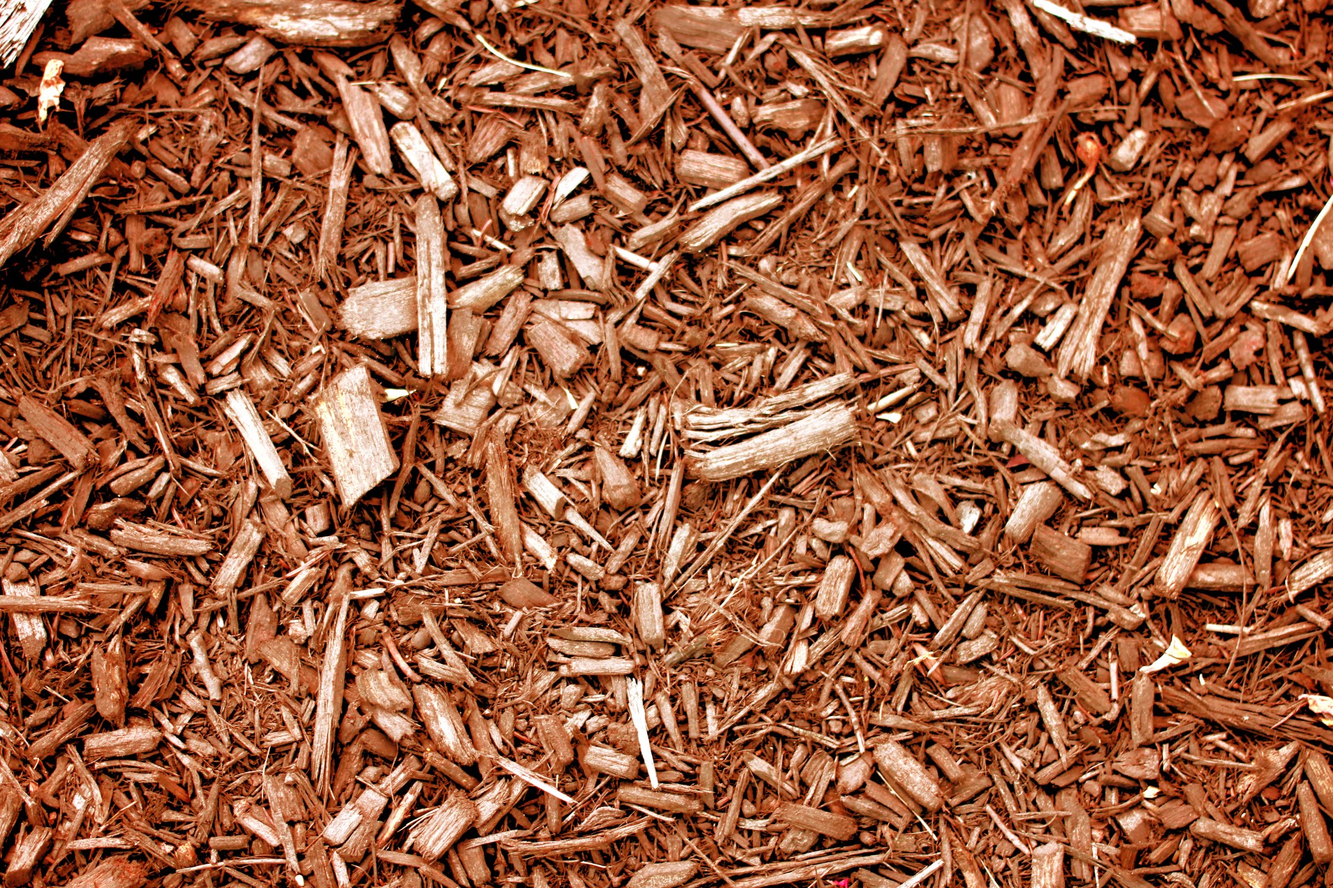woodchips background mulch free photo