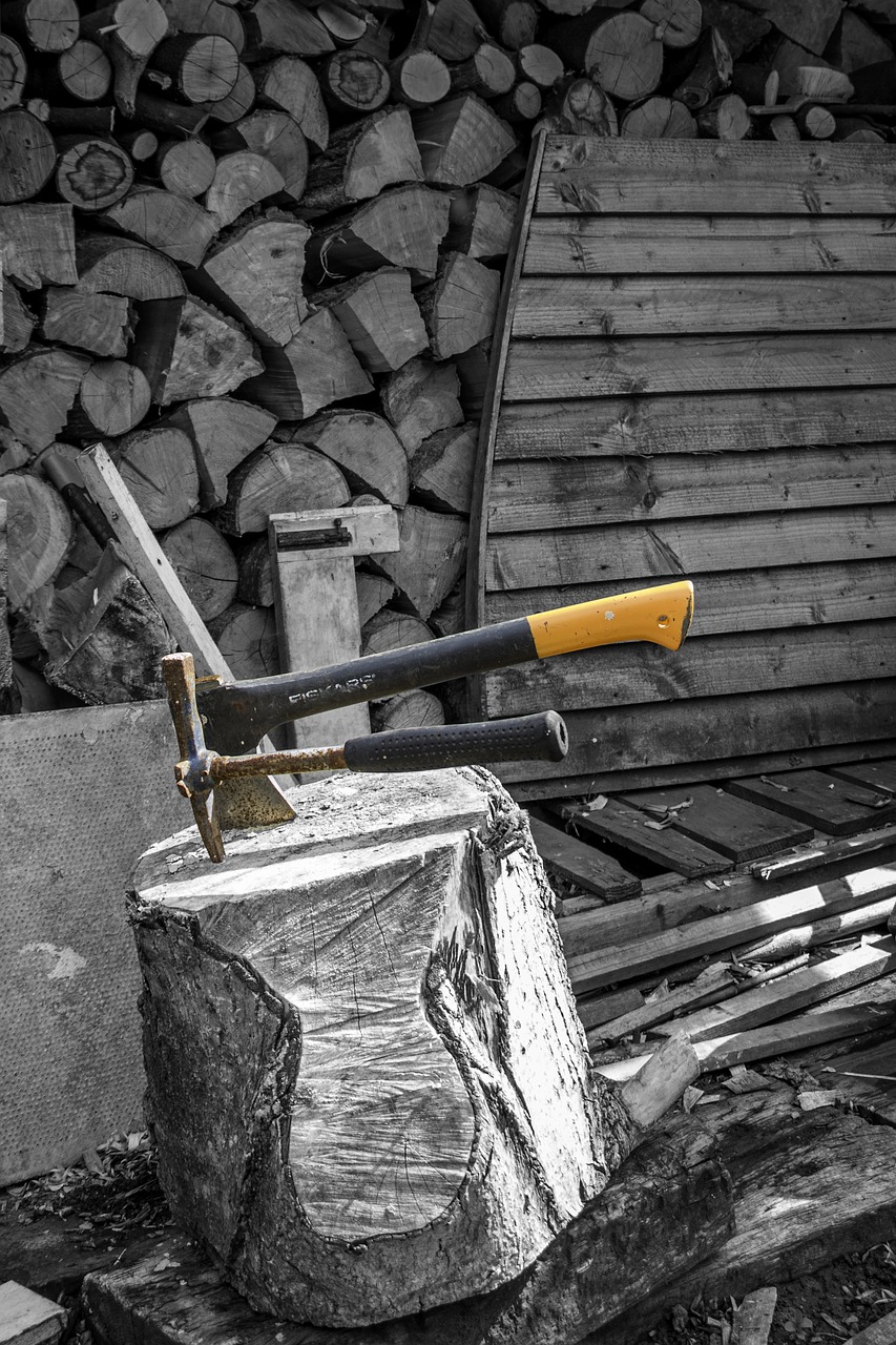 woodcutter axe tool free photo