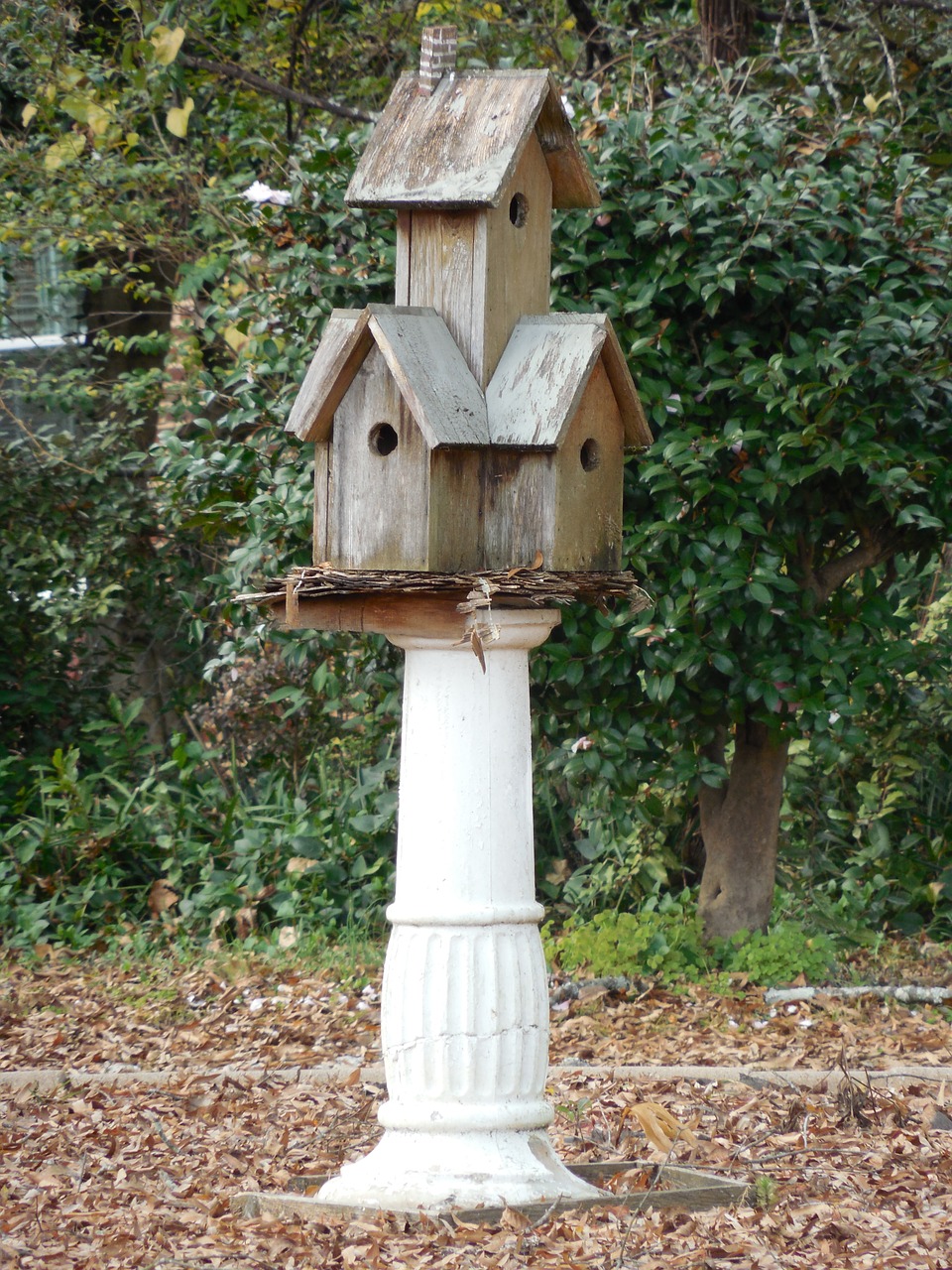 wooden birdhouse wood free photo