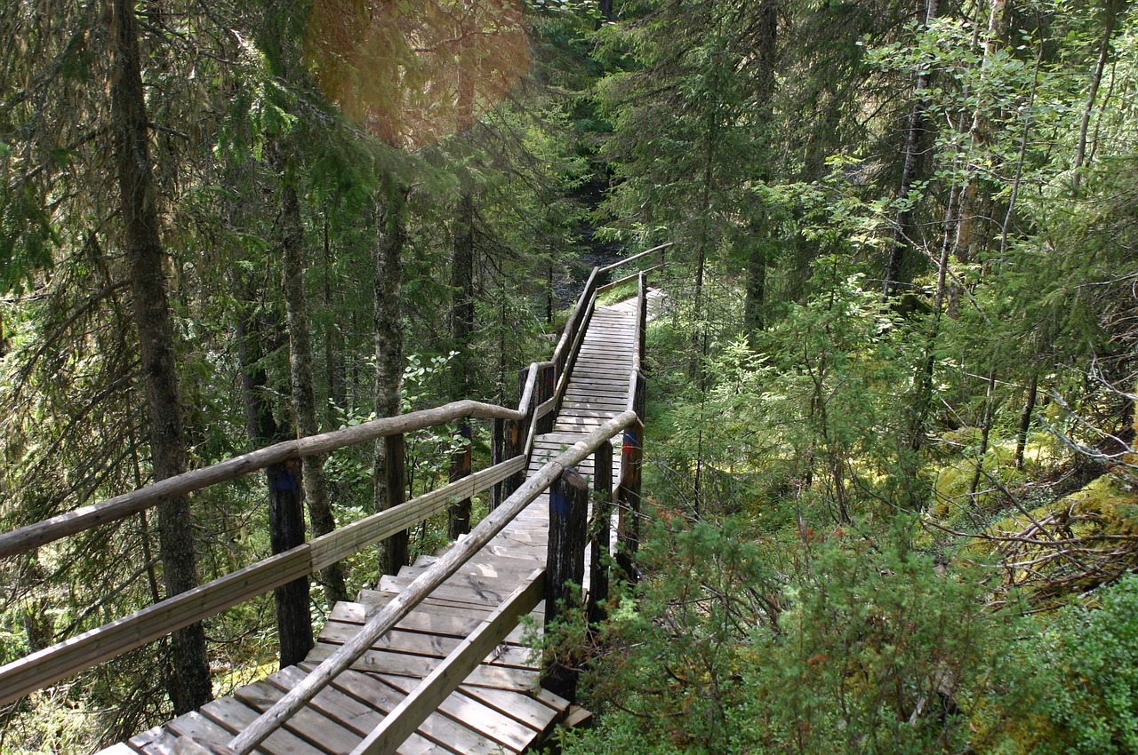 wooden stairs forest free photo