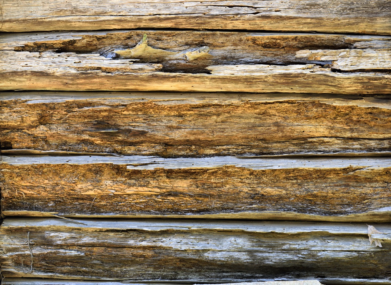 wooden wall background free photo