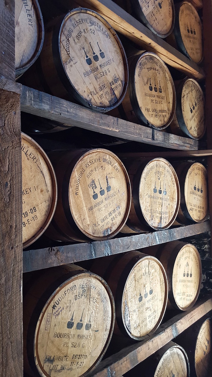 wooden whiskey barrels free photo