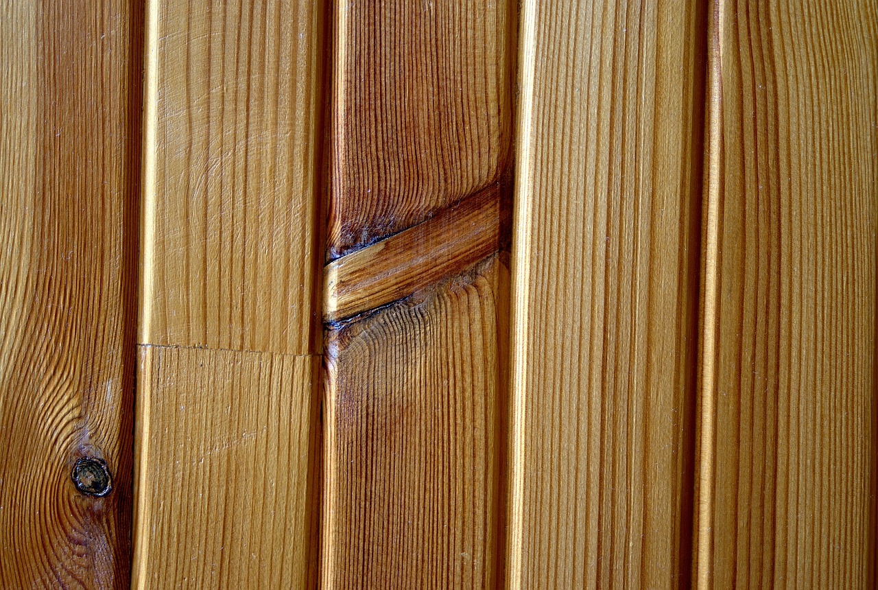 wooden wallpaper tree free photo