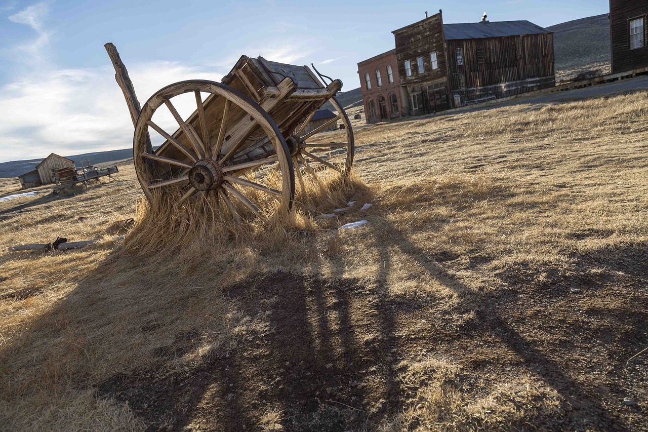 wooden cart grass free photo