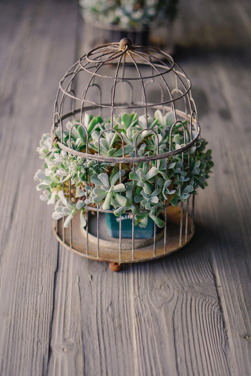 wooden table green free photo